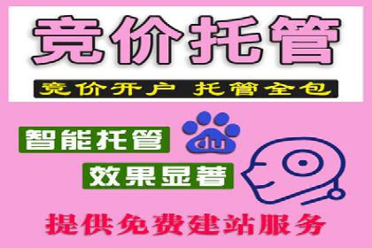 百度竞价托管公司如何实现广告投放的ROI最大化